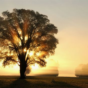 psicologo en sevilla